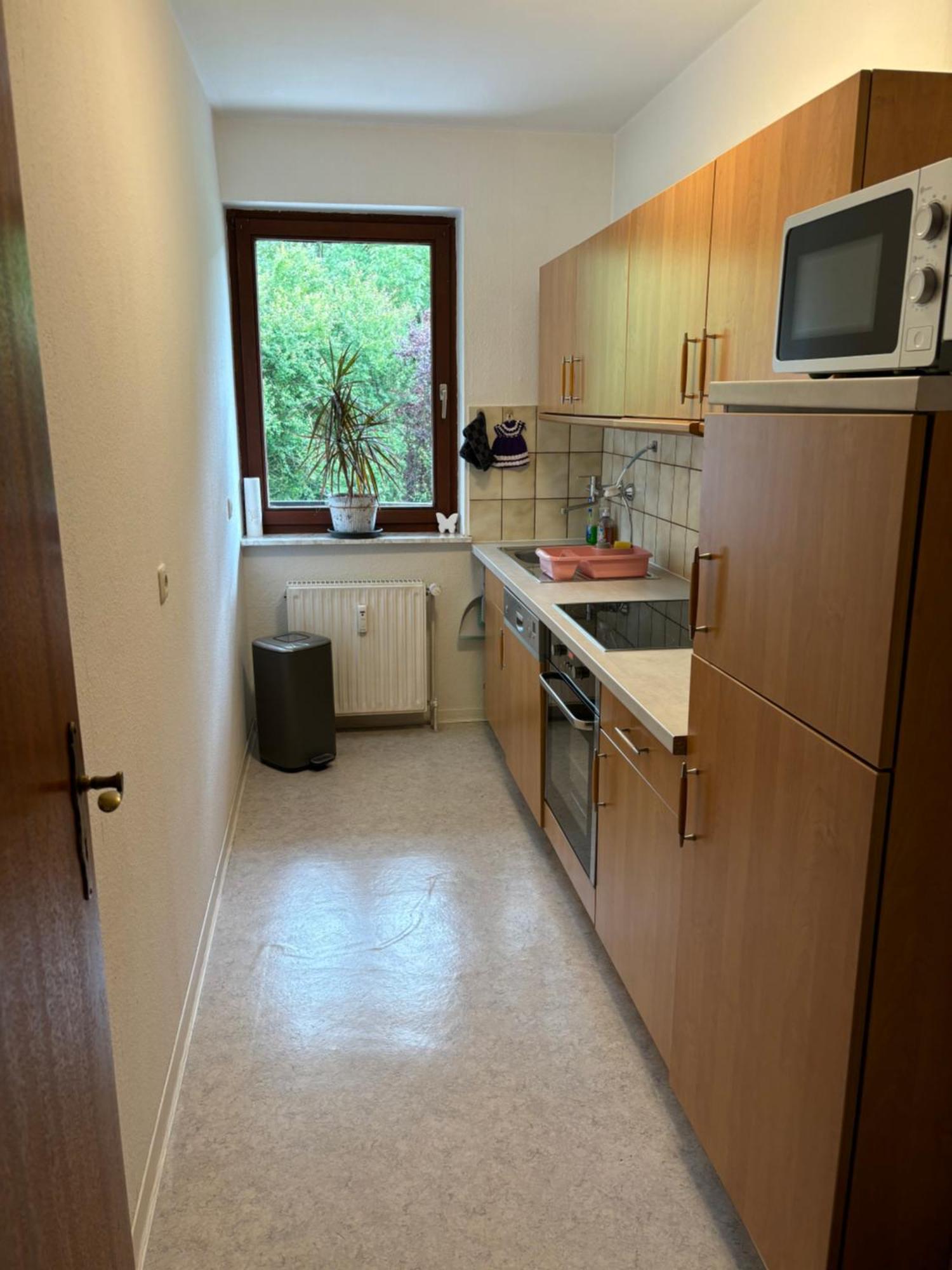 Hannelore Apartamento Walkenried Exterior foto